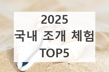 국내 조개 잡이 TOP 5 썸네일 사진