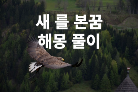 숲 속에서 독수리가 날아 다니는 모습