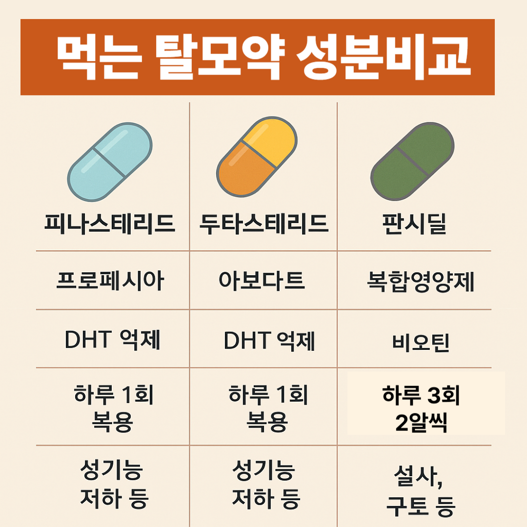 먹는 탈모약 성분 비교 – 피나스테리드, 두타스테리드, 판시딜의 복용법, 대표 제품, 작용 기전, 부작용을 한눈에 정리한 비교 인포그래픽
