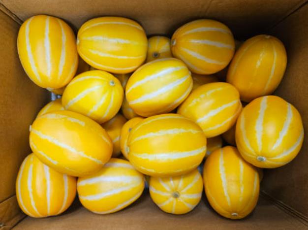 생방송투데이 장바구니 성주 참외 한박스