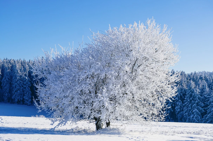 지원금 신청 시 주의사항