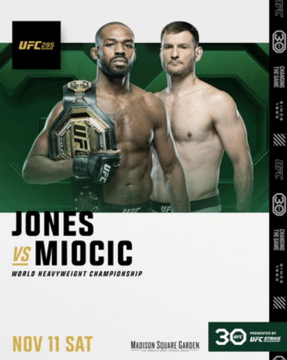 UFC 295