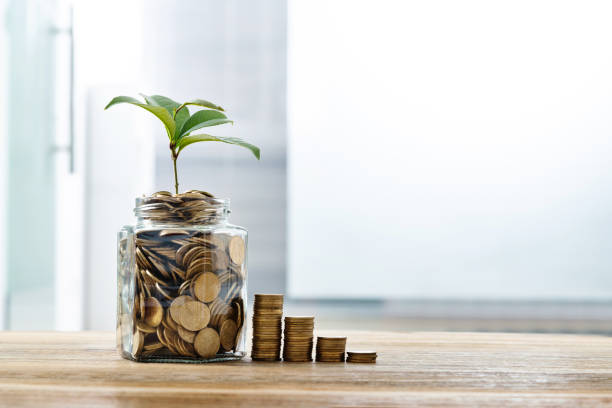 상생페이백 예상금액