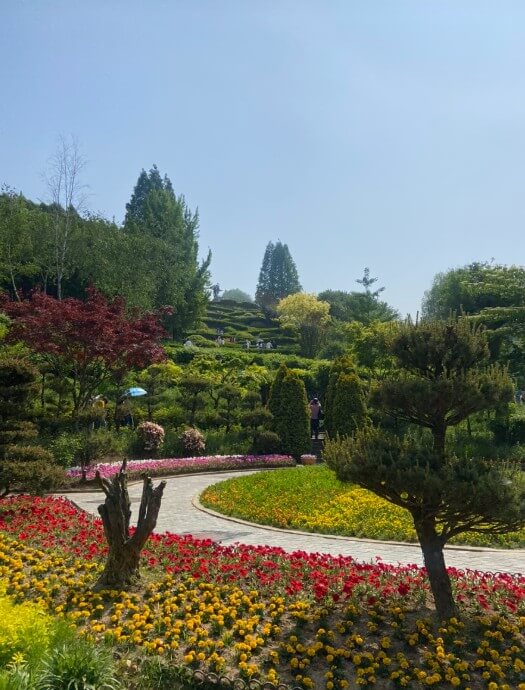 2025 피나클랜드 불꽃축제&amp;#44; 피나클랜드 여름정원 불꽃축제!!! 여름꽃과 빛이 어우러진 낭만의 밤