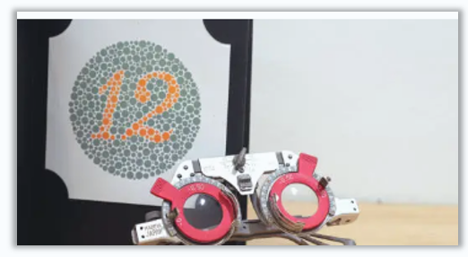 색맹 친화형 데이터 시각화