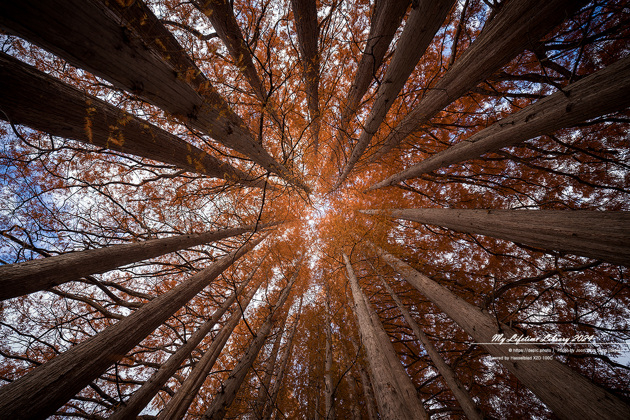 익산 아가페정원