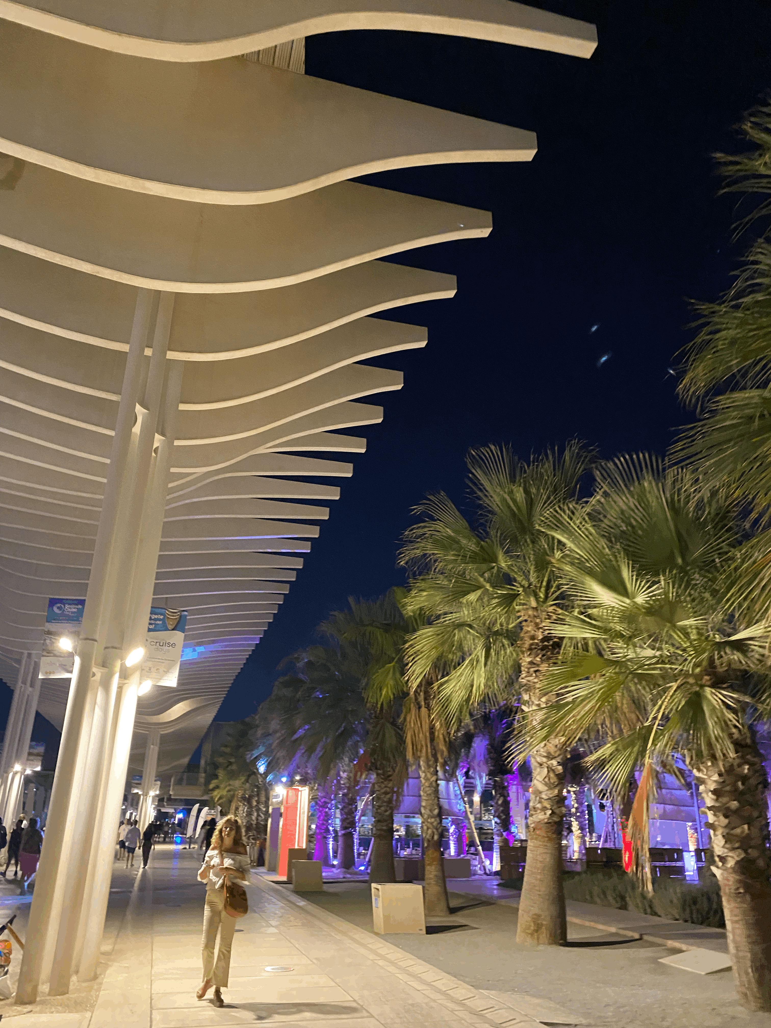 야자수와 밤거리