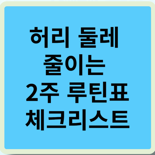 허리 둘레 줄이는 2주 루틴표 체크리스트