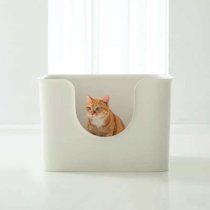 고양이 화장실 크기 대형 자동화장실 추천_4