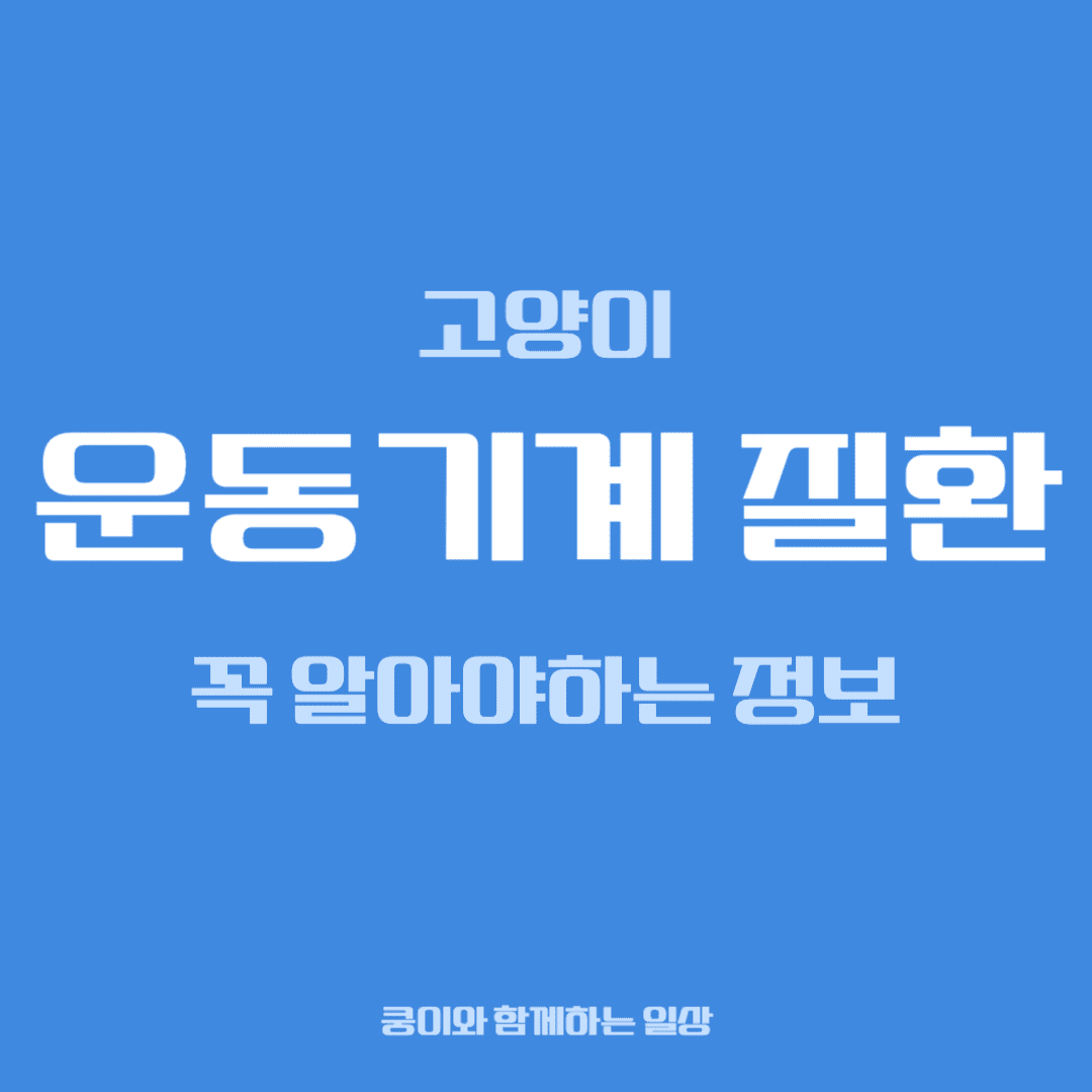 고양이 운동기계 질환, 집사가 꼭 알아야 할 정보