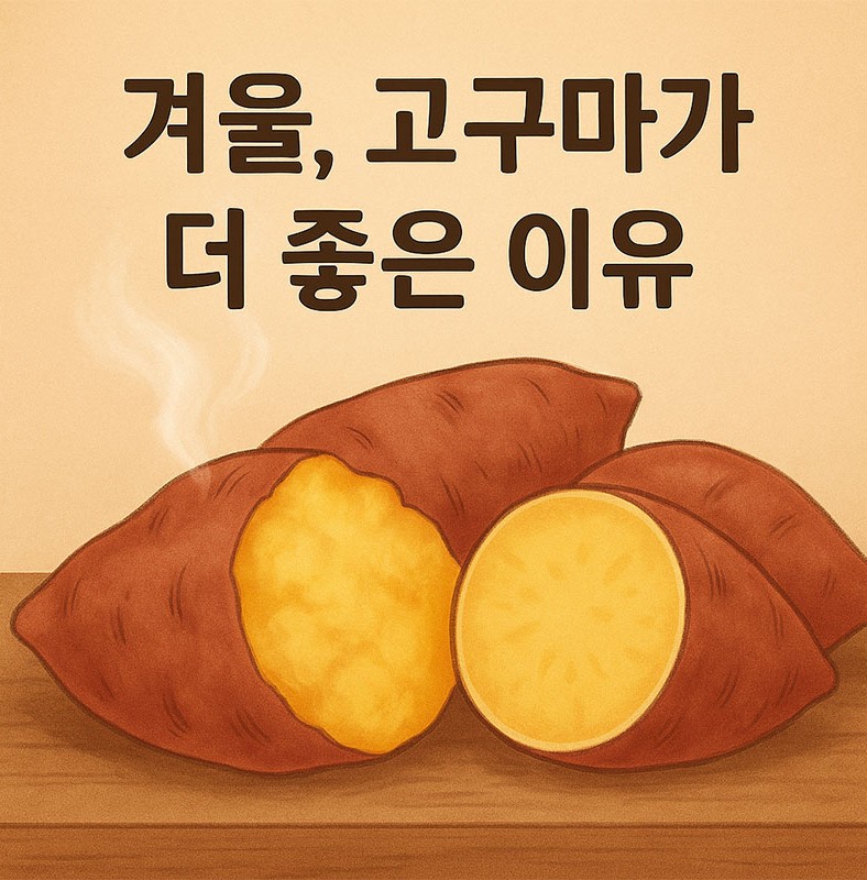 겨울, 고구마가 더 좋은 이유