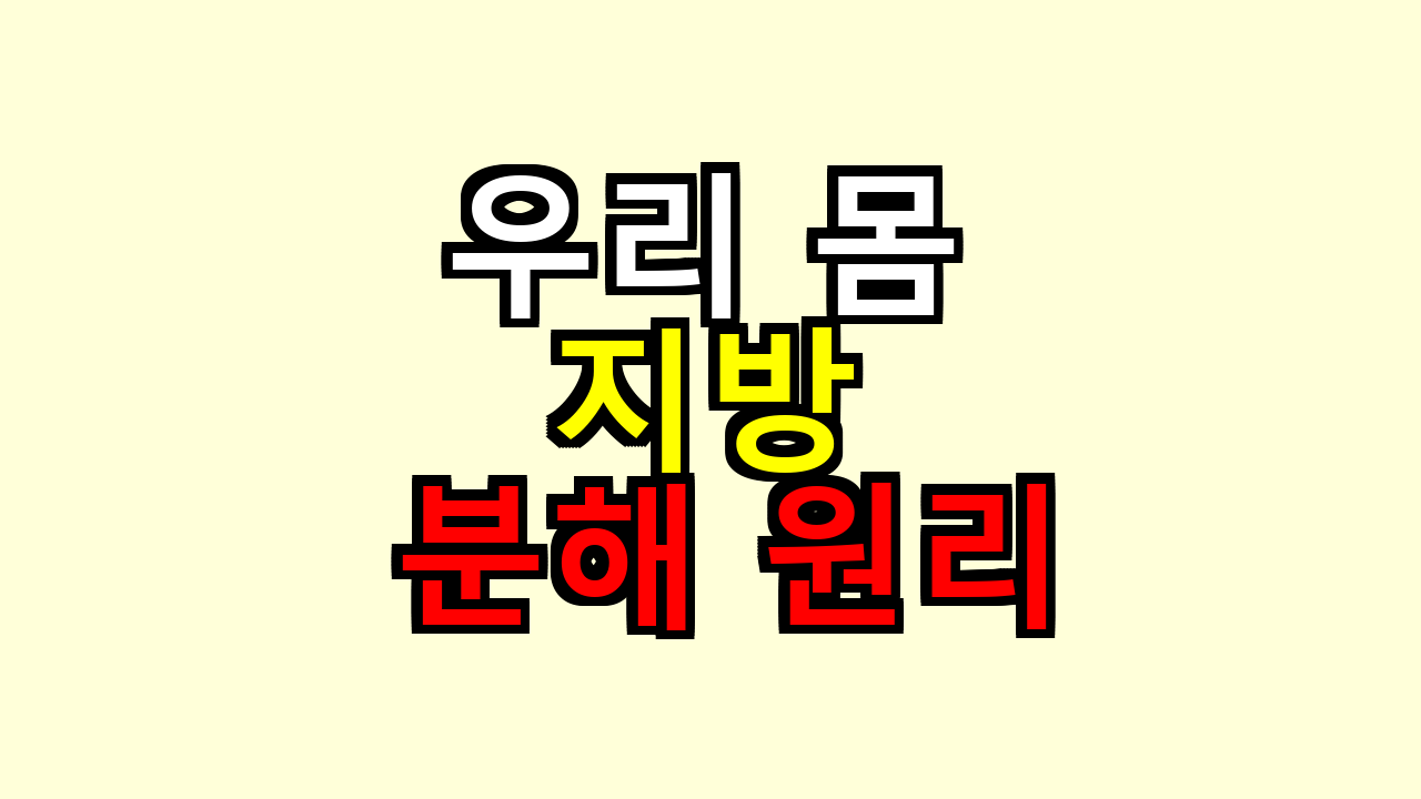 우리 몸 지방 분해 원리, 해보니 생각보다 단순하게 이해되더라