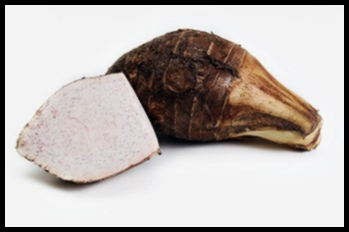 폴리코사놀 복용법