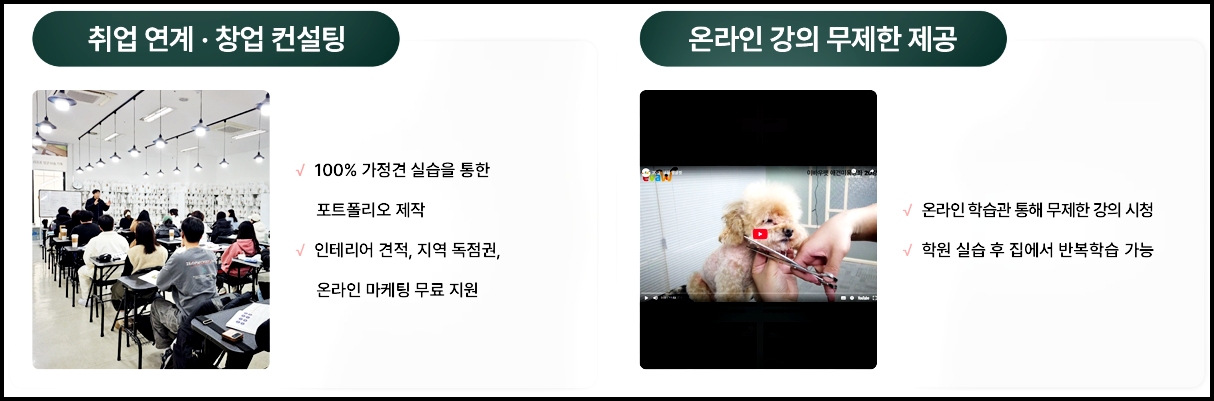 대구애견미용학원