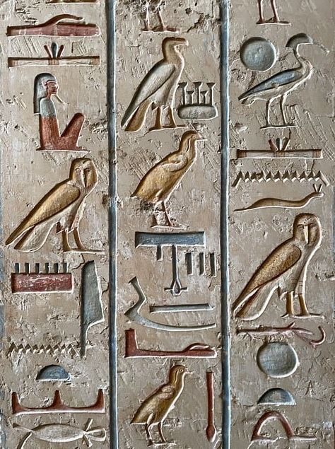 초등학생 과학 사회 공부법