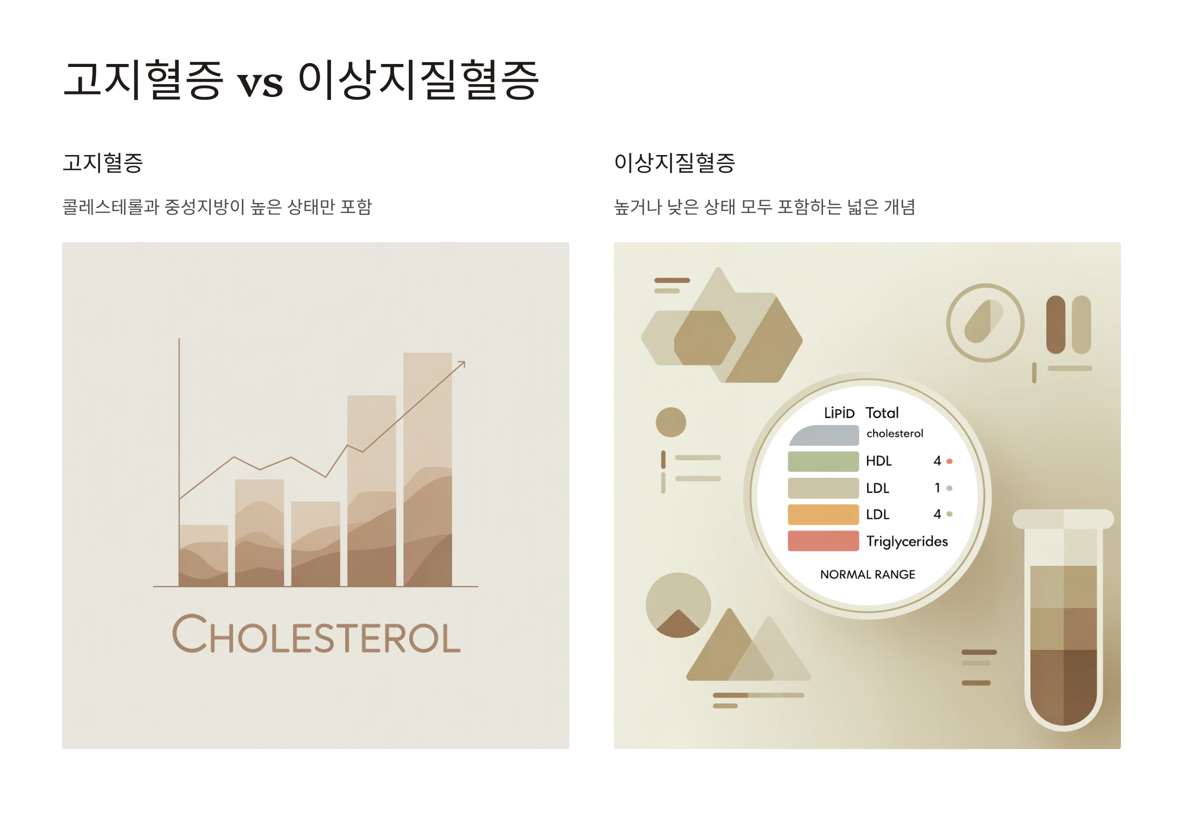 이상지질혈증 이란 식이요법 고지혈증