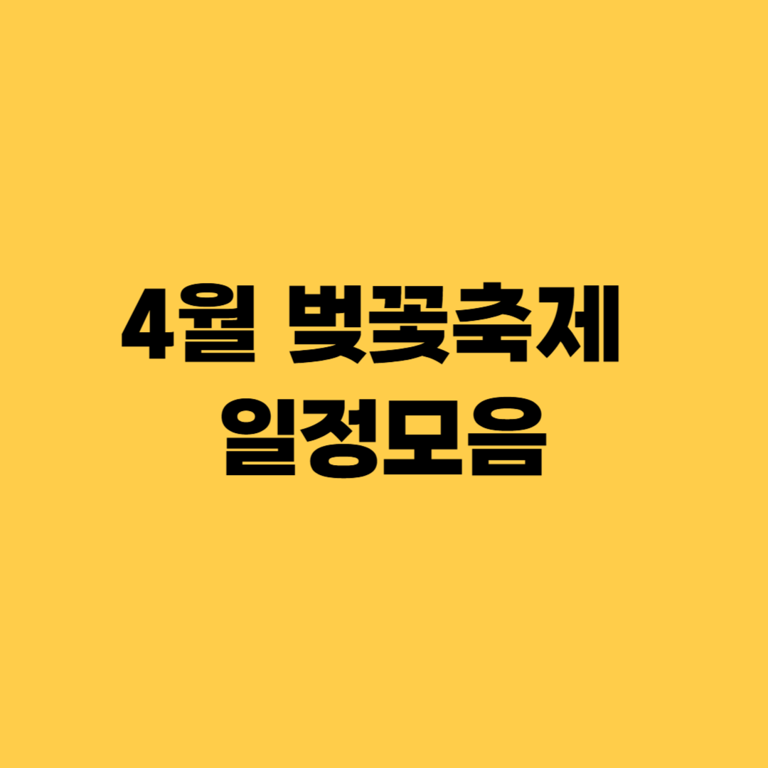 벚꽃 개화시기 2025