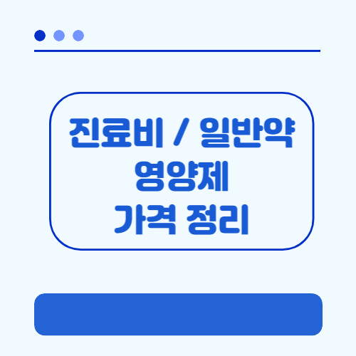 서울 약 가격 서울 영양제 가격 종로 약가격