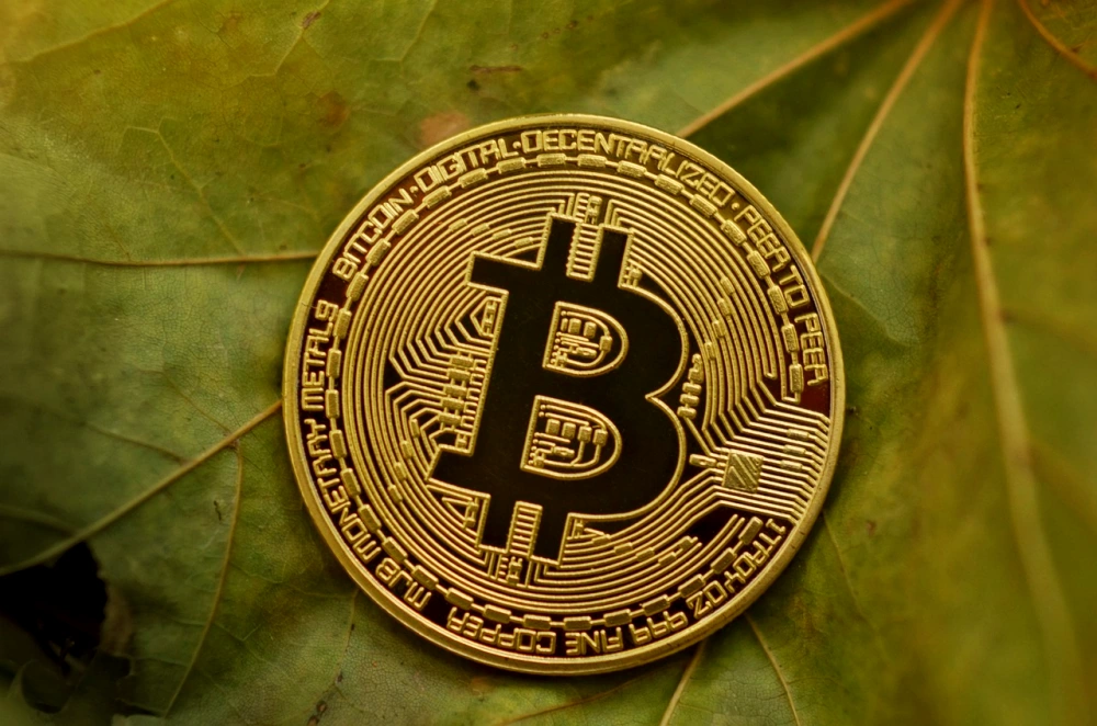 비트코인-사상-최고가