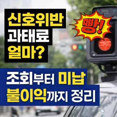 신호위반 과태료