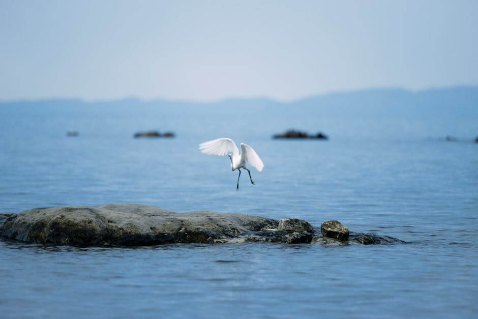 2025- 이탈리아 -여행 -16