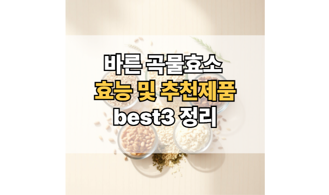 바른-곡물효소-효능-추천-제품-확인