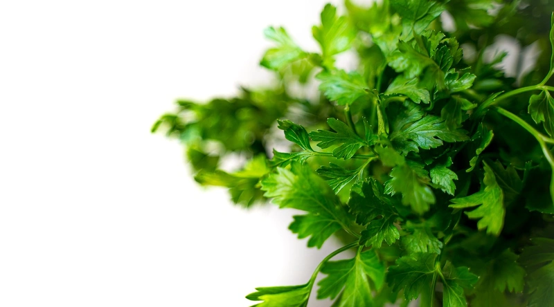 동적 케이블의 장점과 단점