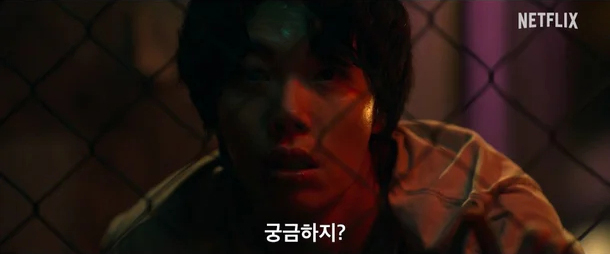 넷플릭스 들쥐 줄거리
