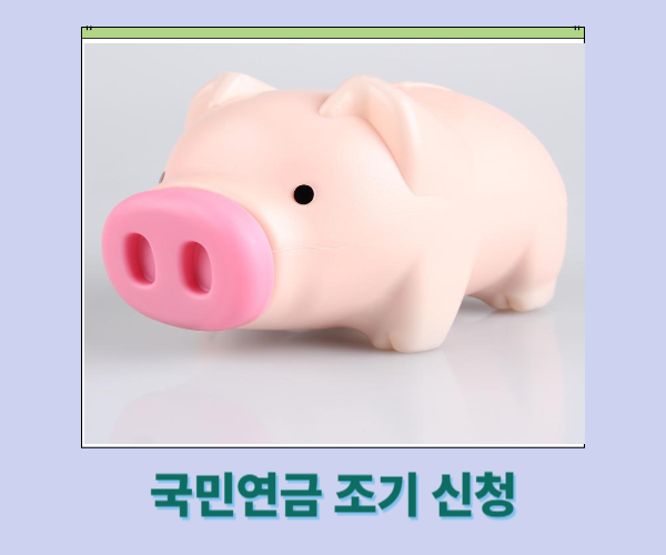 국민연금