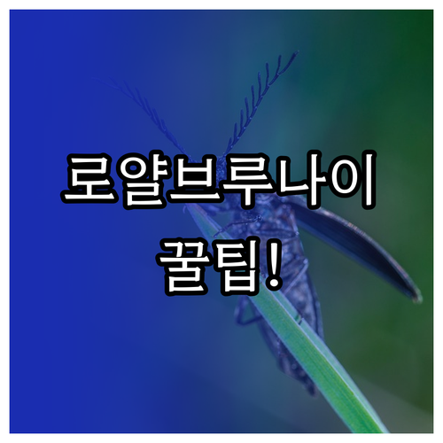 로얄브루나이항공 인천공항 이용시 자주..