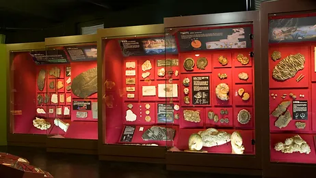 우석헌 자연사 박물관