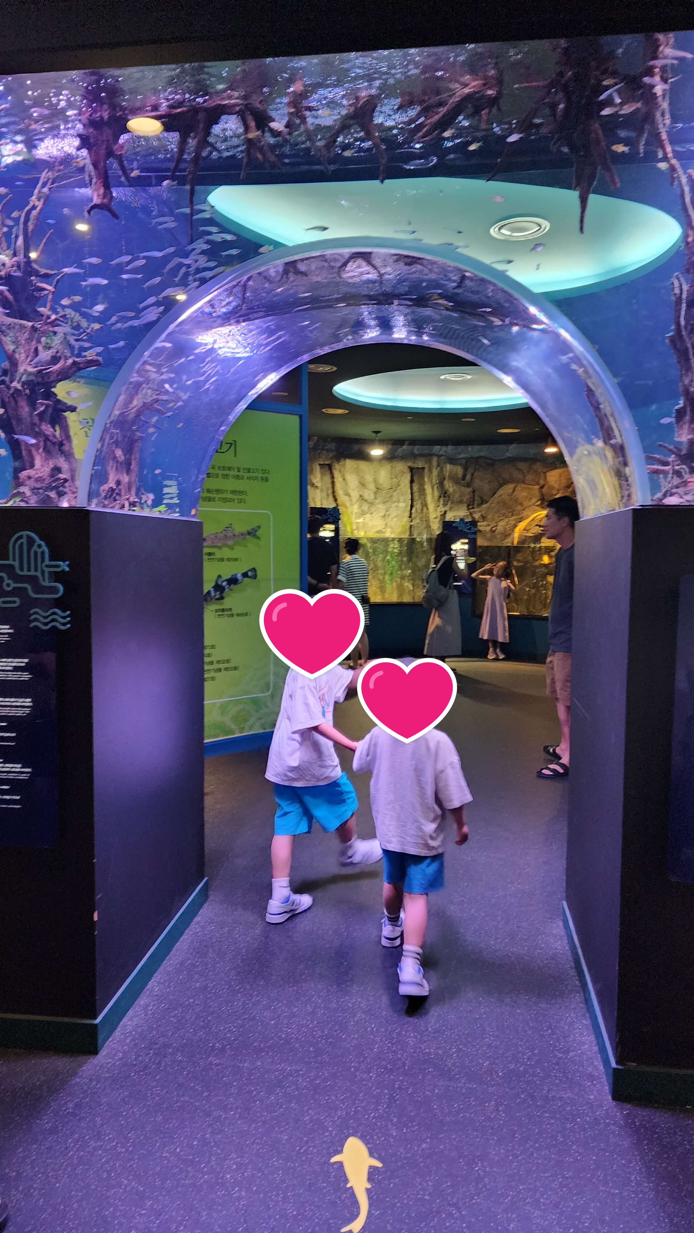 제천경찰수련원 빌라형 6인실 후기(조식 바뀐점, 물놀이, 바베큐, 가볼만한 곳)