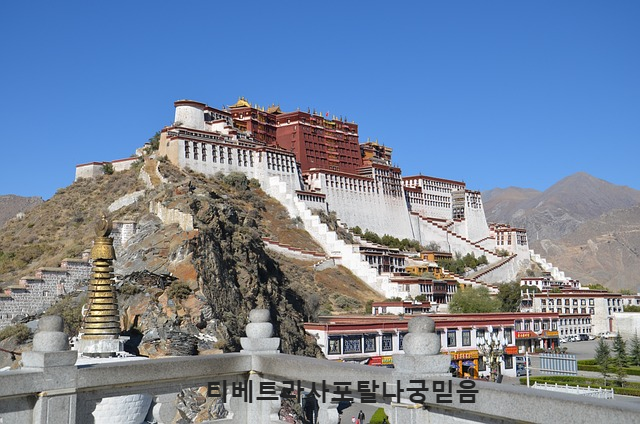 티베트사자의서