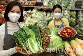 절임배추