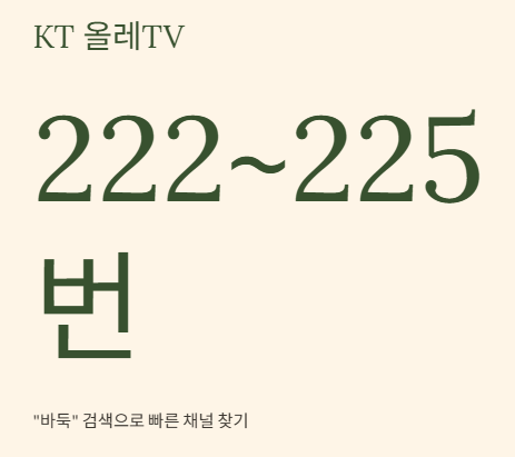 바둑TV 편성표 IPTV 채널번호부터 실시간 중계까지 모든 것을 한눈에 확인하는 완벽가이드