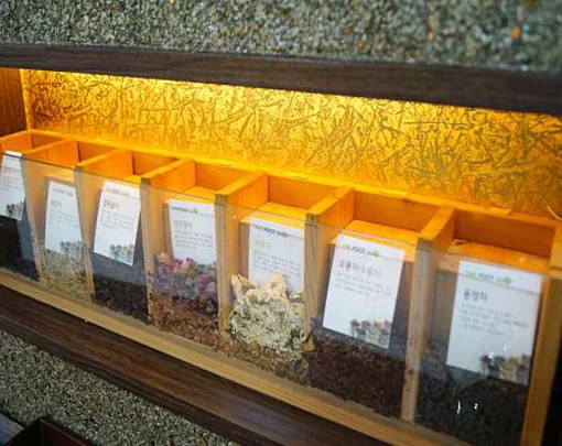 더풋샵 반포삼풍점