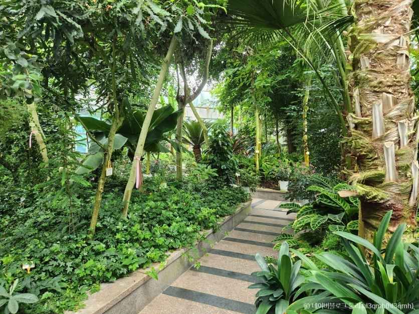 세종 가볼만한곳 베스트10