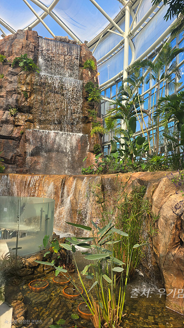 24년 순천만 국가정원 식물원 동문 순천여행