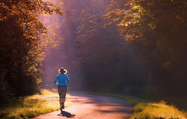 숲속을 운동하는 사진