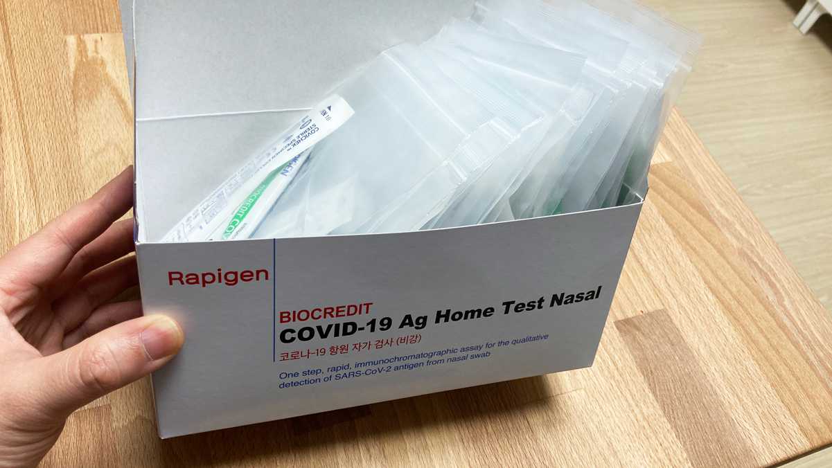 20개의 양은 이정도. 넉넉한 편