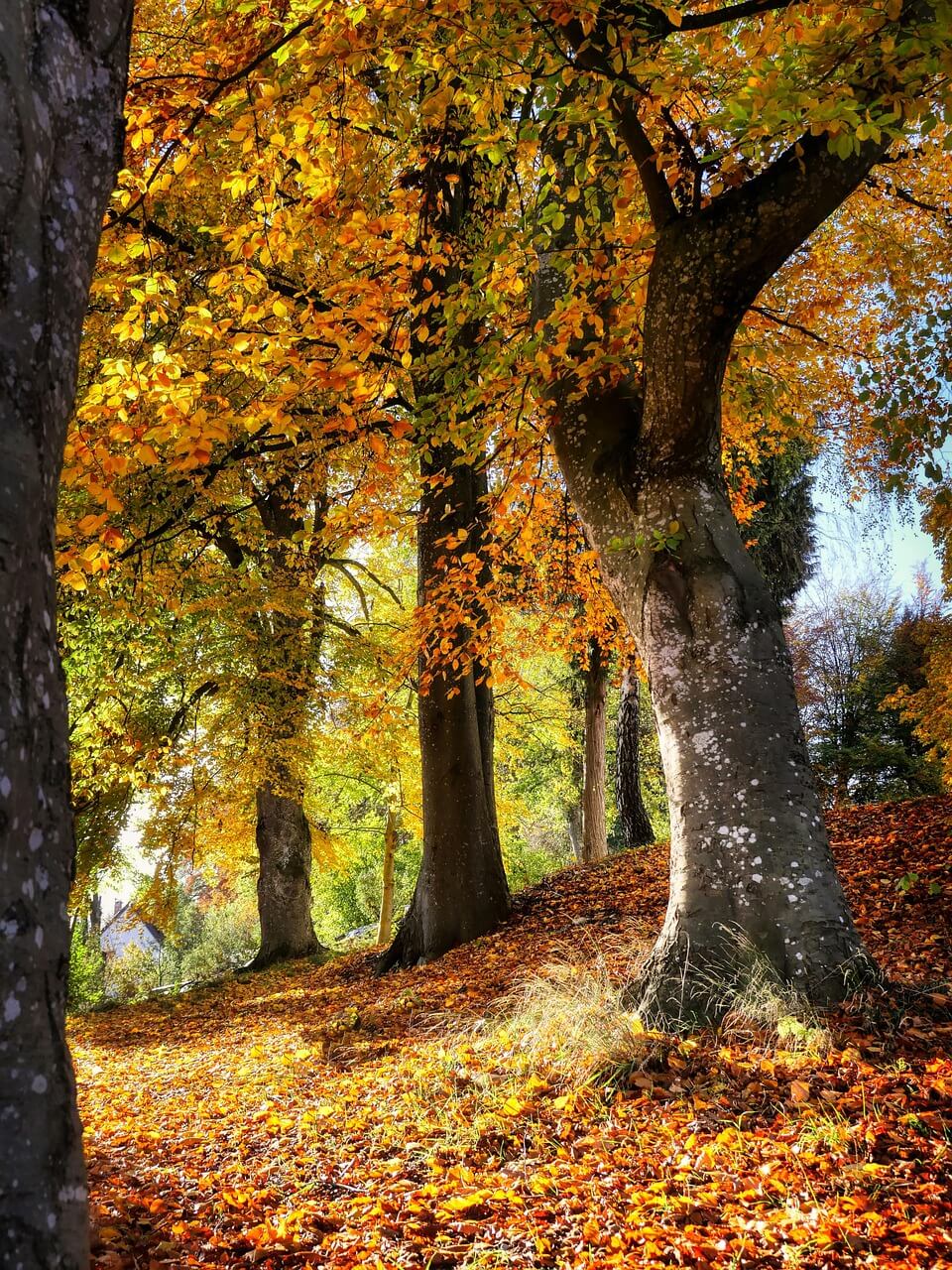 지금 당장 간병보험을 체크해야 하는 이유