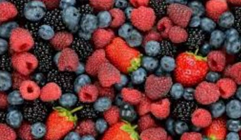 Resveratrol and Cognitive Enhancement