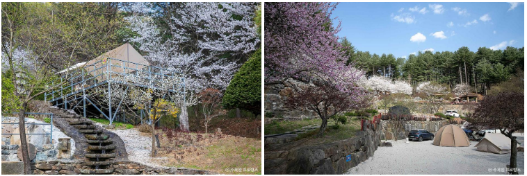 경기도 포천 수목원 프로방스