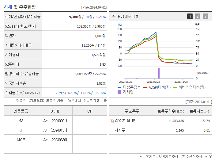 대성홀딩스_기업개요