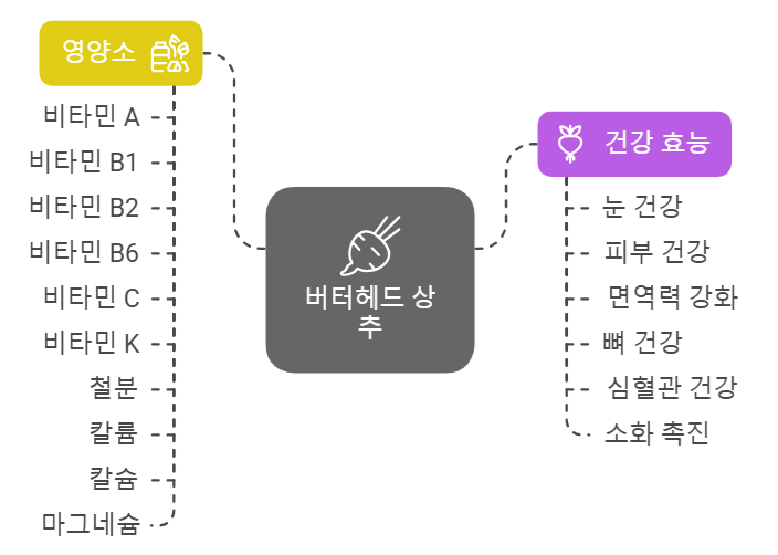 버터헤드 상추 영양 성분
