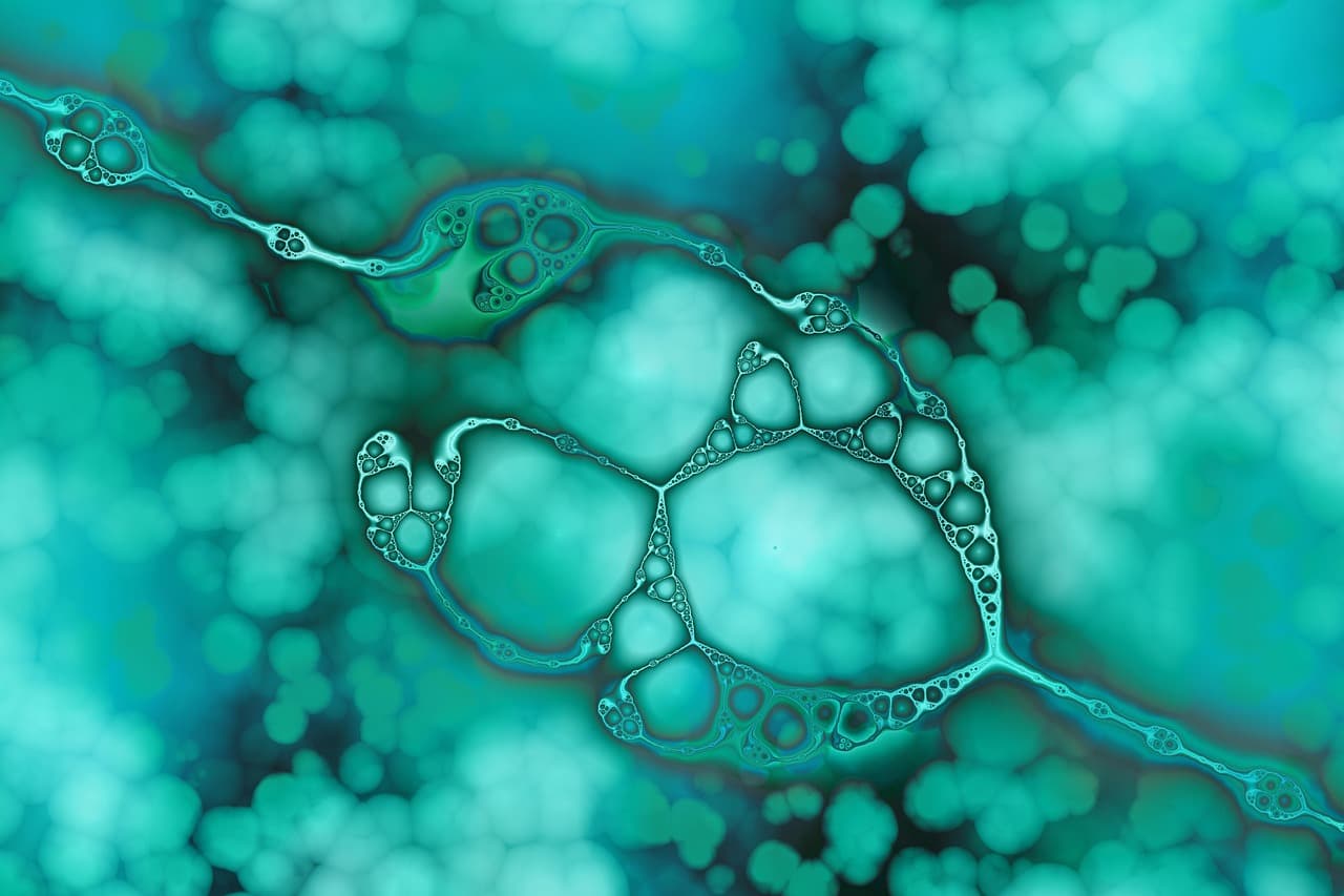 자기 성찰과 두뇌 건강과 매일의 나 돌아보기