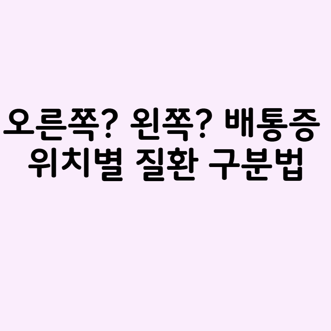 배통증 위치별 질환 구분법 관련 사진