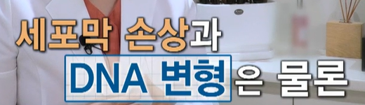 코엔자임큐텐의 효능