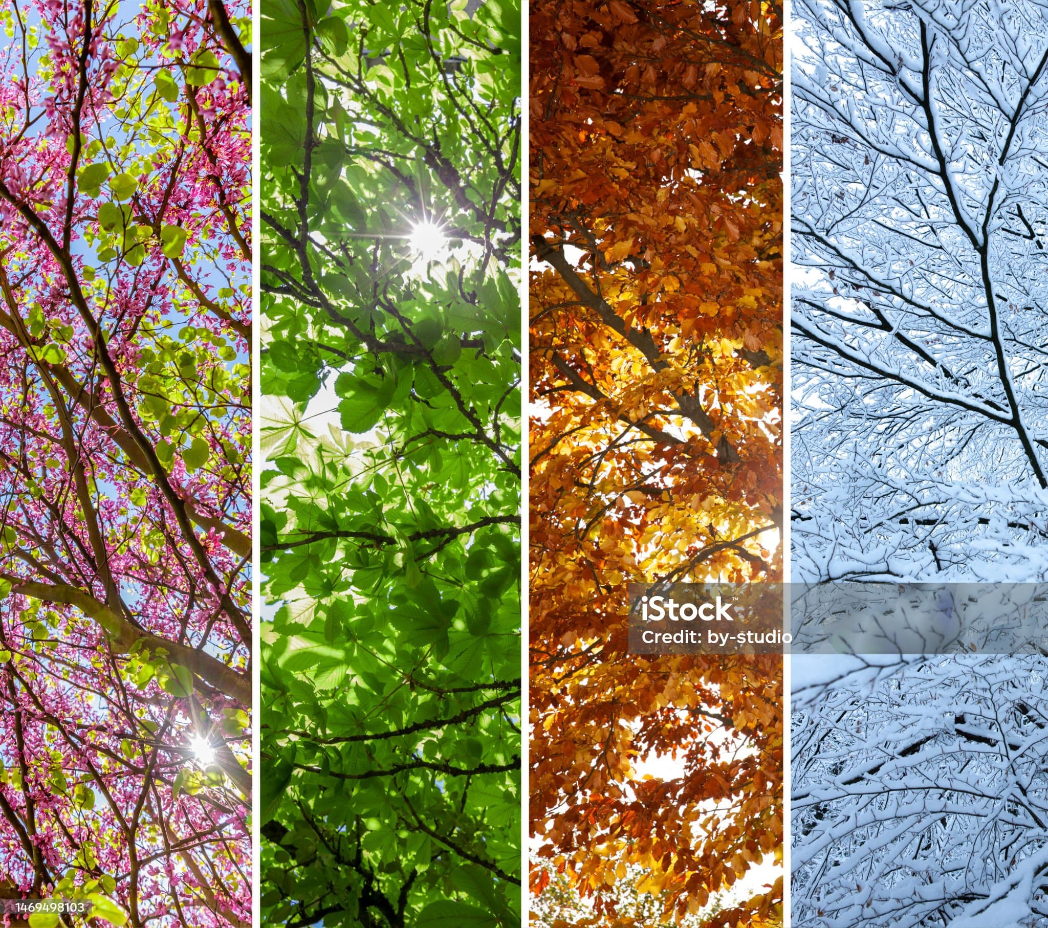 계절별 옷장 리셋 가이드: 미니멀리스트의 사계절 옷장 관리법