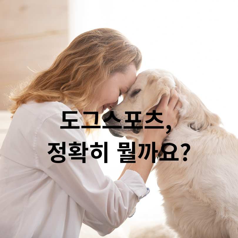 2025 서울 반려견 올림픽 신청 방법